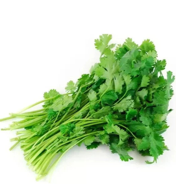 Fresh Green Coriander