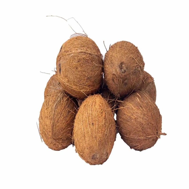 Fresh Coconut Brown Cover Per Piece