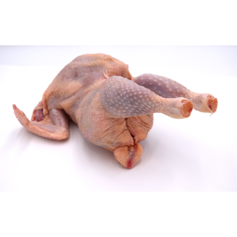 Harvey Hard Chicken/ Small Whole Chicken 1Kg